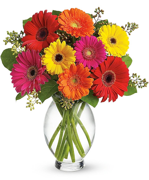 Gerbera daisy flower arrangement for a Brantford or Paris flower delivery.